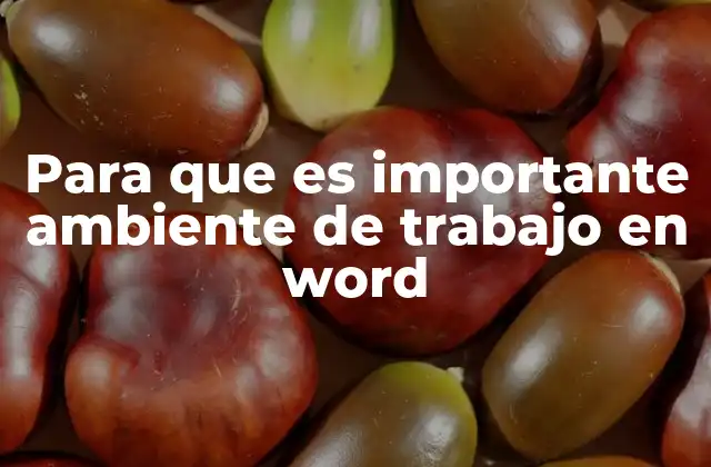 Para que es Importante Ambiente de Trabajo en Word
