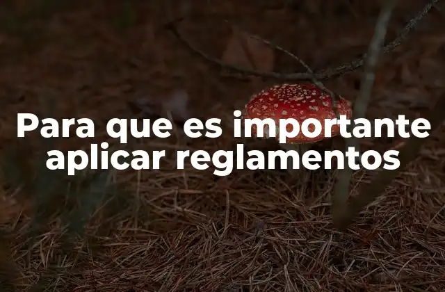 Para que es Importante Aplicar Reglamentos