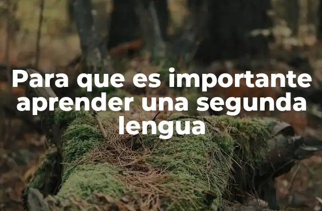 Para que es Importante Aprender una Segunda Lengua