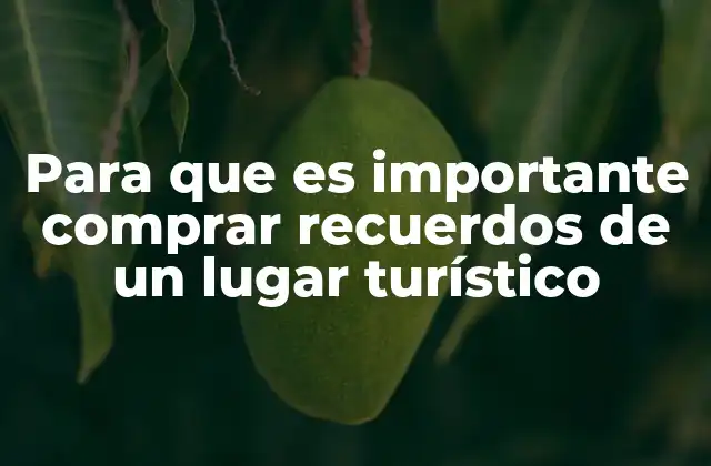 Para que es Importante Comprar Recuerdos de un Lugar Turístico