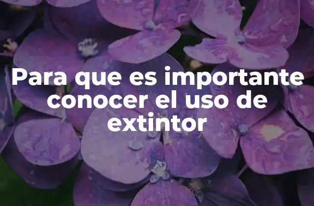Para que es Importante Conocer el Uso de Extintor