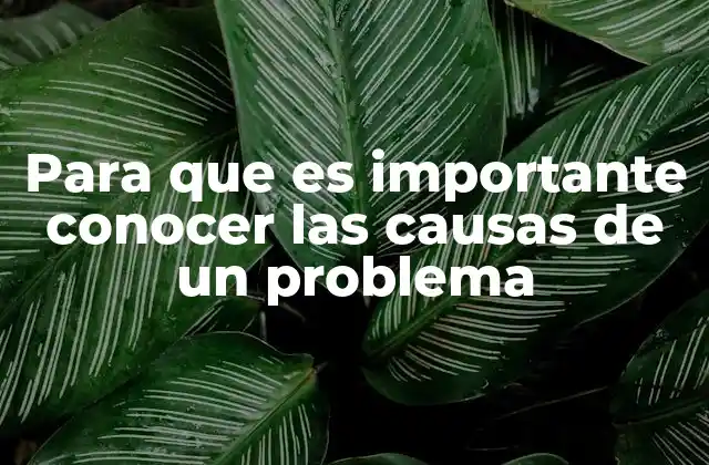 Para que es Importante Conocer las Causas de un Problema