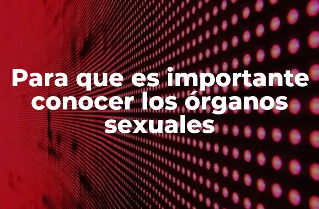 Para que es Importante Conocer los Órganos Sexuales