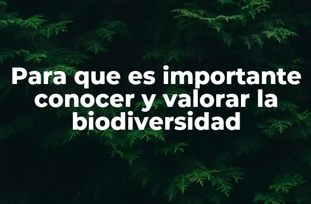 Para que es Importante Conocer y Valorar la Biodiversidad