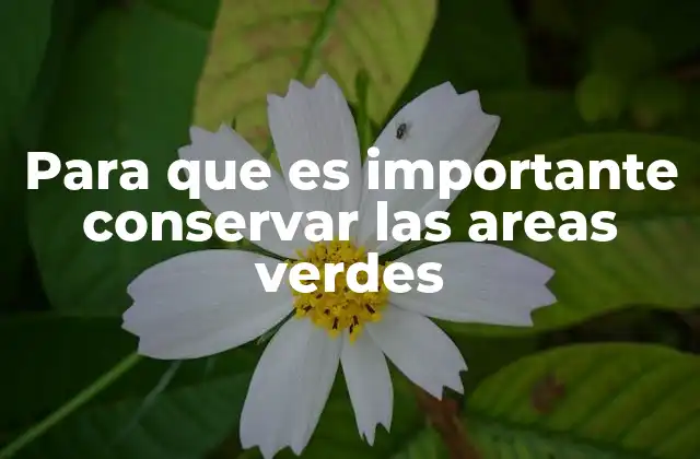 El impacto de los espacios verdes en las ciudades modernas