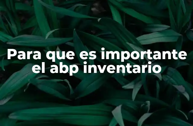 Para que es Importante el Abp Inventario