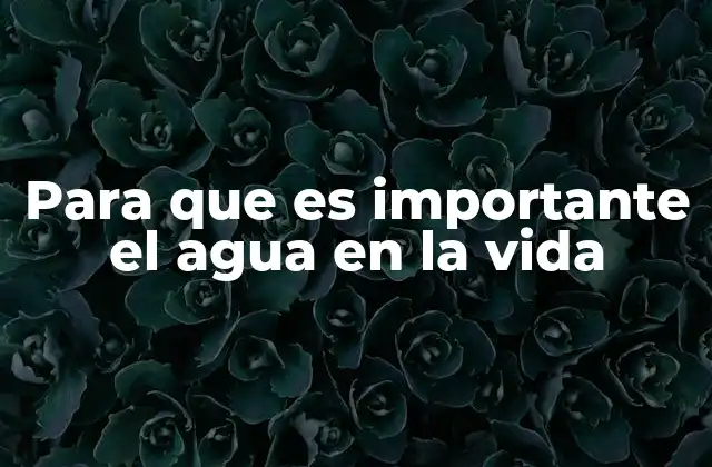 Para que es Importante el Agua en la Vida