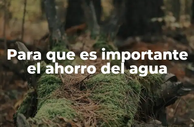 Para que es Importante el Ahorro Del Agua