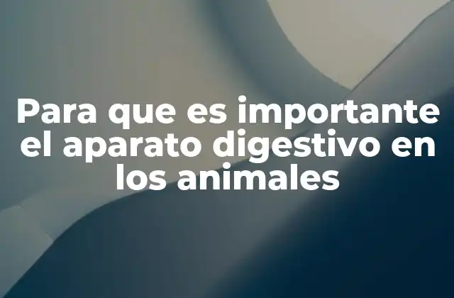 Para que es Importante el Aparato Digestivo en los Animales