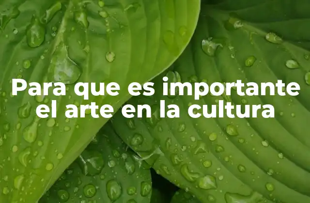 Para que es Importante el Arte en la Cultura