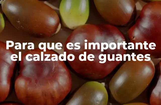 La protección de las manos como factor clave en la seguridad industrial
