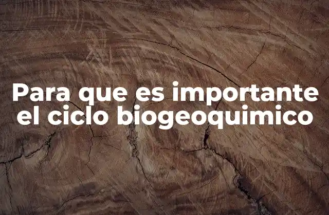 Para que es Importante el Ciclo Biogeoquimico 2 La interacción entre elementos en la naturaleza