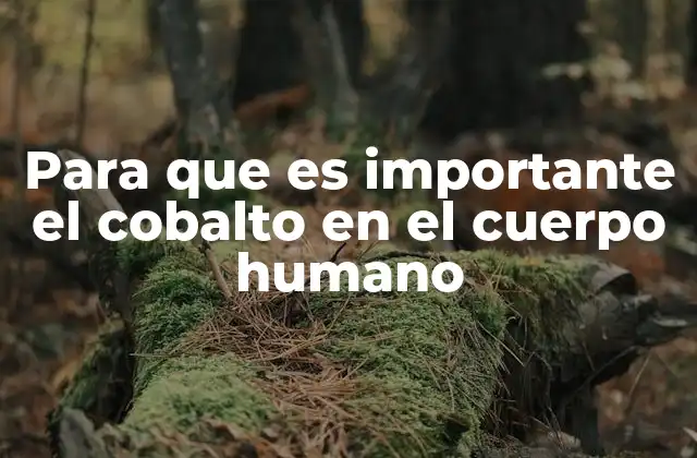 Para que es Importante el Cobalto en el Cuerpo Humano
