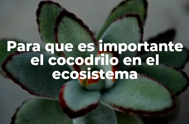 Para que es Importante el Cocodrilo en el Ecosistema