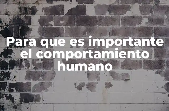 El impacto del comportamiento en la sociedad moderna
