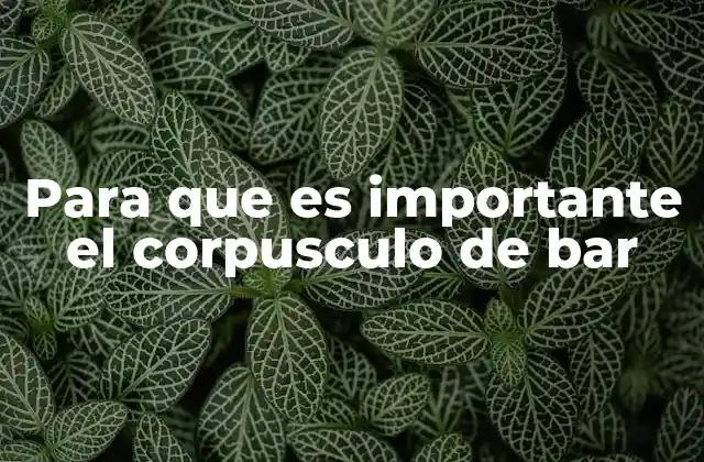 Para que es Importante el Corpusculo de Bar