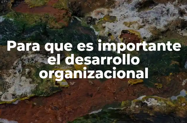 Para que es Importante el Desarrollo Organizacional