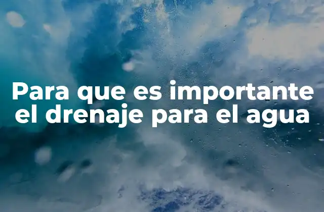 Para que es Importante el Drenaje para el Agua 2 El papel del drenaje en la gestión de recursos hídricos