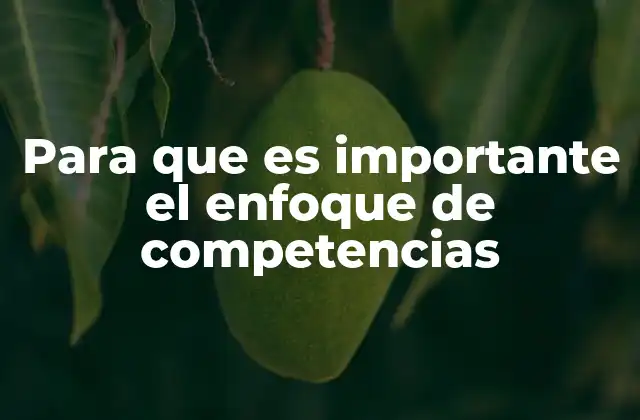 Para que es Importante el Enfoque de Competencias