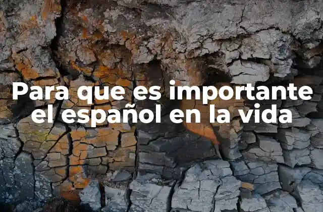 Para que es Importante el Español en la Vida