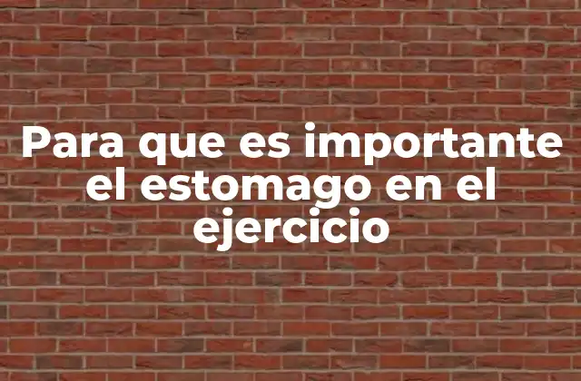 Para que es Importante el Estomago en el Ejercicio