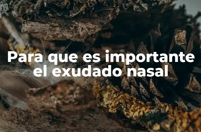 Para que es Importante el Exudado Nasal