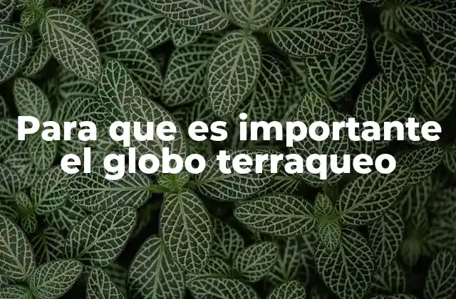 La representación geográfica y el papel del globo terráqueo