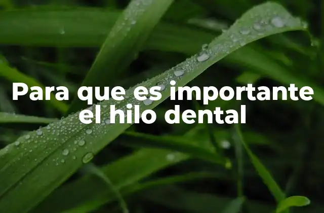 Para que es Importante el Hilo Dental
