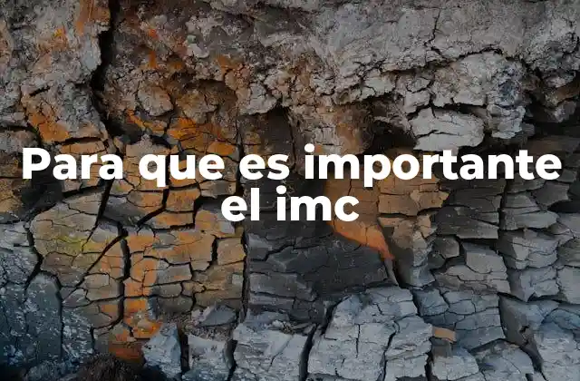 La importancia del IMC en la salud pública