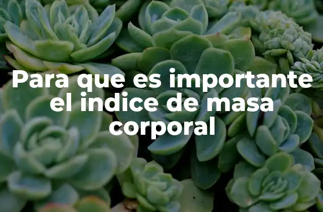 Para que es Importante el Indice de Masa Corporal
