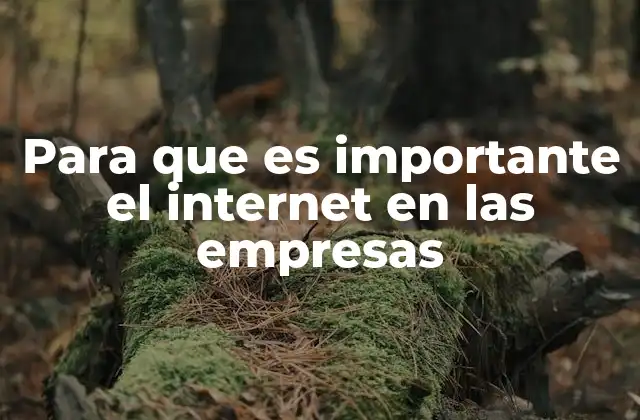 Para que es Importante el Internet en las Empresas