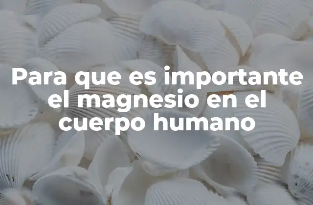 Para que es Importante el Magnesio en el Cuerpo Humano