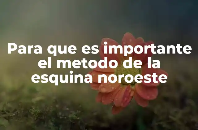 Para que es Importante el Metodo de la Esquina Noroeste