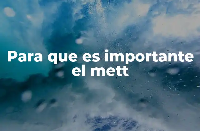 Para que es Importante el Mett