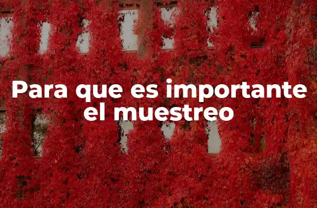 Para que es Importante el Muestreo