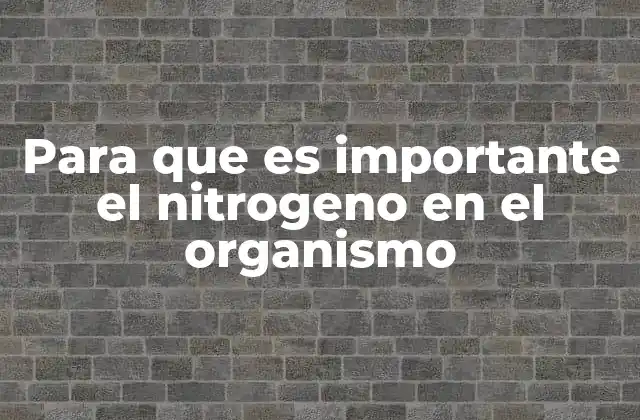 Para que es Importante el Nitrogeno en el Organismo