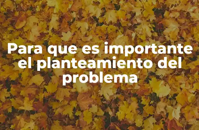 Para que es Importante el Planteamiento Del Problema
