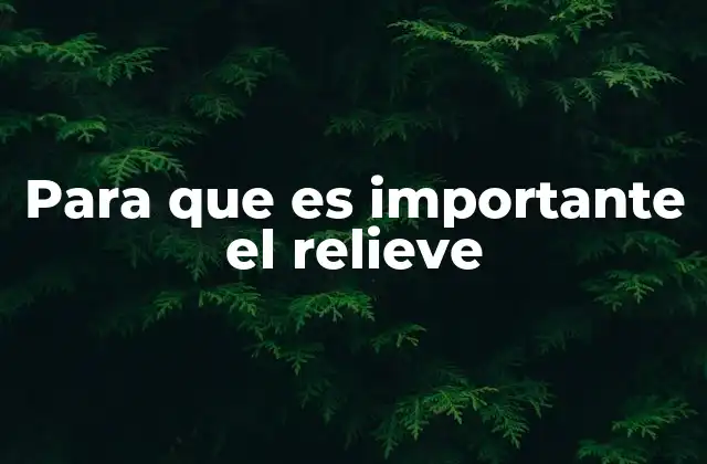 Para que es Importante el Relieve