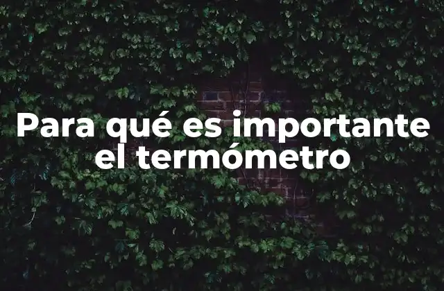 Para Qué es Importante el Termómetro