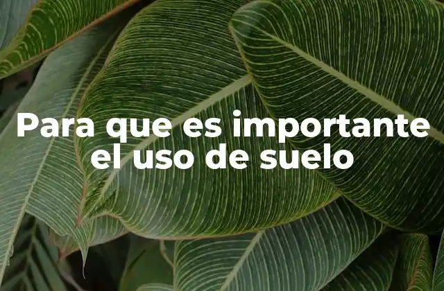 Para que es Importante el Uso de Suelo