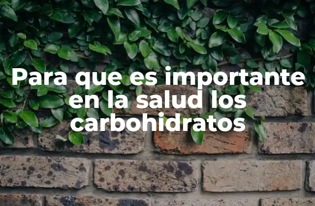 Para que es Importante en la Salud los Carbohidratos