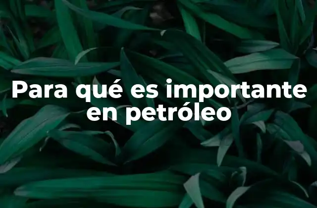 Para Qué es Importante en Petróleo