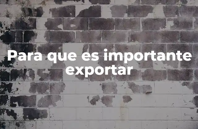 Para que es Importante Exportar