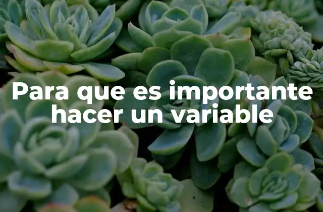 Para que es Importante Hacer un Variable