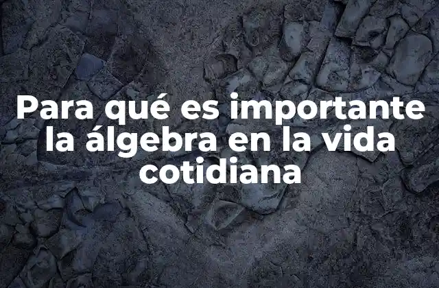 Para Qué es Importante la Álgebra en la Vida Cotidiana