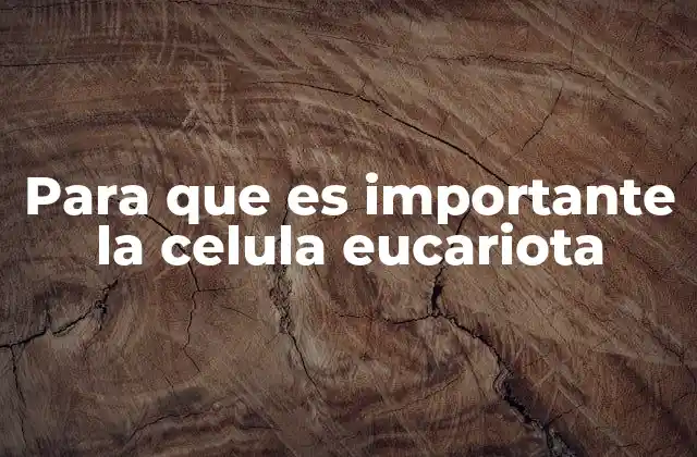 La base de la vida compleja