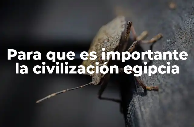 Para que es Importante la Civilización Egipcia 2 El legado de una civilización antigua en el mundo moderno