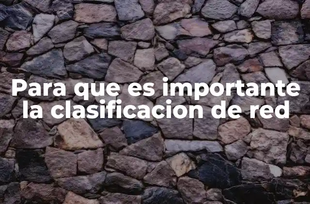 Para que es Importante la Clasificacion de Red