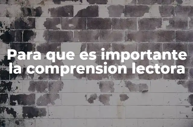 Para que es Importante la Comprension Lectora