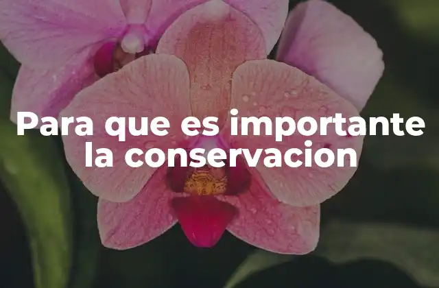 Para que es Importante la Conservacion